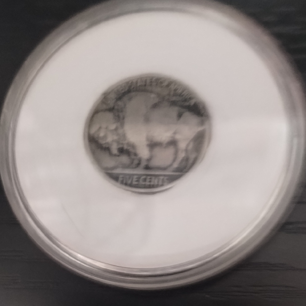 Buffalo Nickel Coin in Protective Case